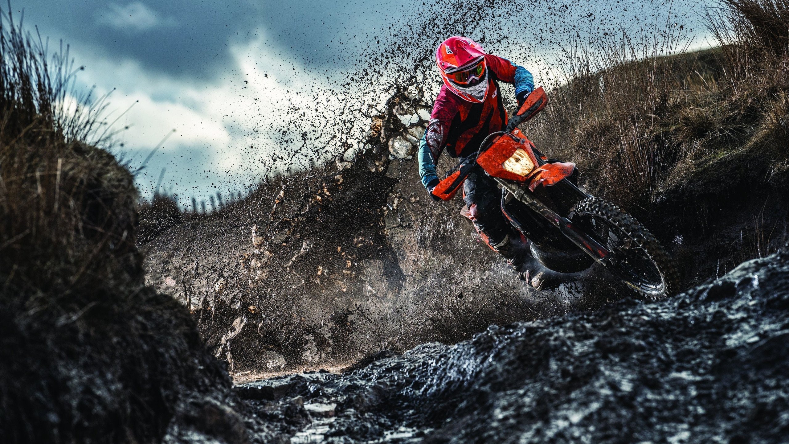 开云体育官方网站登陆-项目启发街道清洁运动，成为阿尔及利亚最大环境行动，阿尔及利亚务工